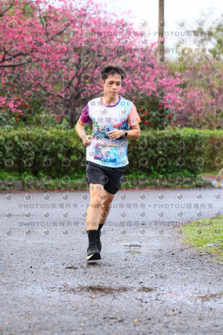 2026左岸竹東櫻花馬拉松Zhudong Sakura Marathon