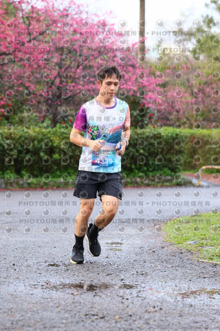 2026左岸竹東櫻花馬拉松Zhudong Sakura Marathon