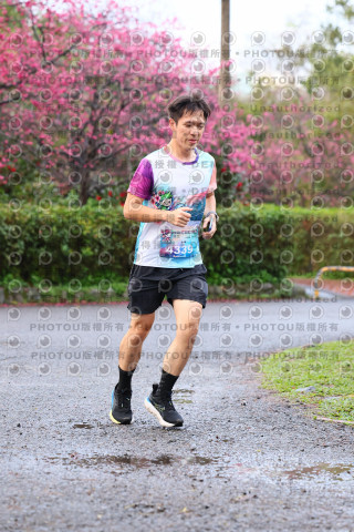2026左岸竹東櫻花馬拉松Zhudong Sakura Marathon