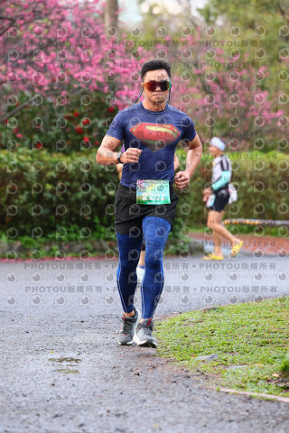 2026左岸竹東櫻花馬拉松Zhudong Sakura Marathon
