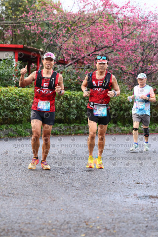 2026左岸竹東櫻花馬拉松Zhudong Sakura Marathon