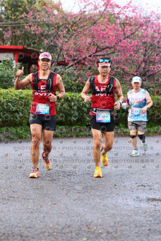 2026左岸竹東櫻花馬拉松Zhudong Sakura Marathon