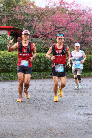 2026左岸竹東櫻花馬拉松Zhudong Sakura Marathon