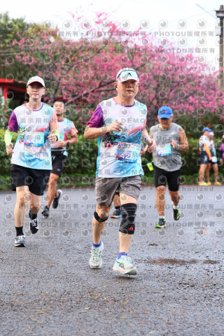 2026左岸竹東櫻花馬拉松Zhudong Sakura Marathon