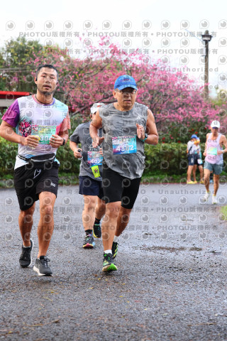 2026左岸竹東櫻花馬拉松Zhudong Sakura Marathon