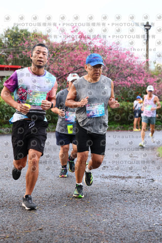 2026左岸竹東櫻花馬拉松Zhudong Sakura Marathon