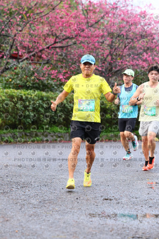 2026左岸竹東櫻花馬拉松Zhudong Sakura Marathon