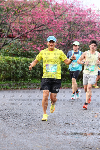 2026左岸竹東櫻花馬拉松Zhudong Sakura Marathon
