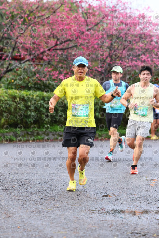 2026左岸竹東櫻花馬拉松Zhudong Sakura Marathon