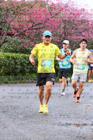 2026左岸竹東櫻花馬拉松Zhudong Sakura Marathon