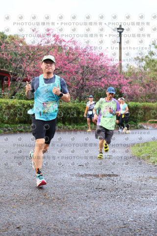 2026左岸竹東櫻花馬拉松Zhudong Sakura Marathon
