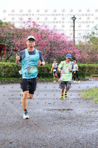 2026左岸竹東櫻花馬拉松Zhudong Sakura Marathon