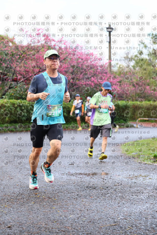 2026左岸竹東櫻花馬拉松Zhudong Sakura Marathon
