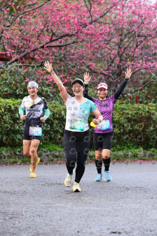 2026左岸竹東櫻花馬拉松Zhudong Sakura Marathon