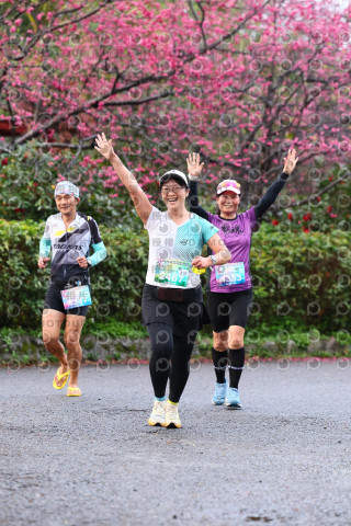 2026左岸竹東櫻花馬拉松Zhudong Sakura Marathon