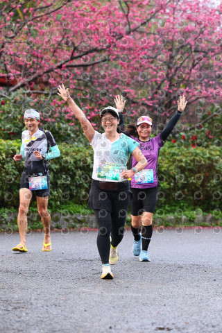 2026左岸竹東櫻花馬拉松Zhudong Sakura Marathon
