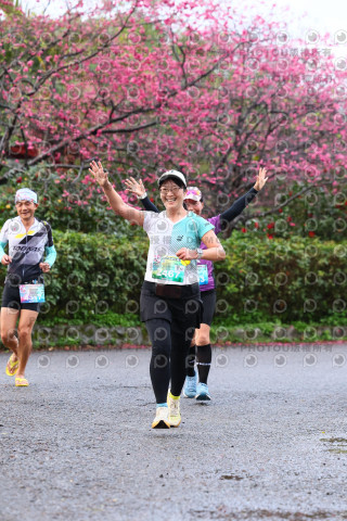 2026左岸竹東櫻花馬拉松Zhudong Sakura Marathon