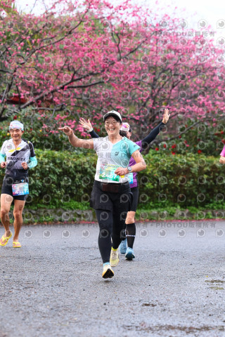 2026左岸竹東櫻花馬拉松Zhudong Sakura Marathon