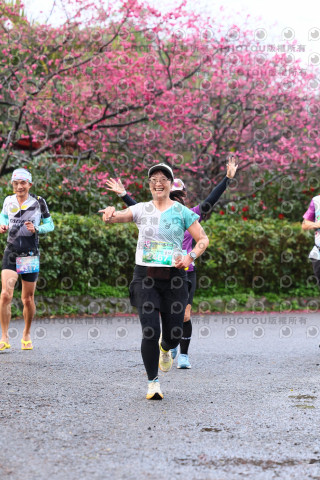 2026左岸竹東櫻花馬拉松Zhudong Sakura Marathon