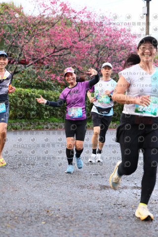 2026左岸竹東櫻花馬拉松Zhudong Sakura Marathon