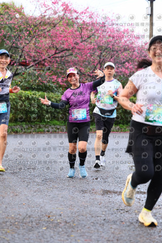 2026左岸竹東櫻花馬拉松Zhudong Sakura Marathon