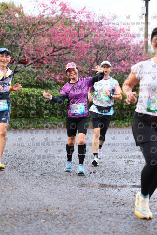 2026左岸竹東櫻花馬拉松Zhudong Sakura Marathon