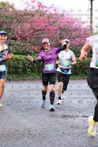 2026左岸竹東櫻花馬拉松Zhudong Sakura Marathon