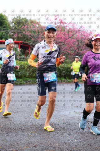 2026左岸竹東櫻花馬拉松Zhudong Sakura Marathon