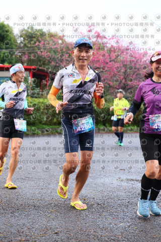 2026左岸竹東櫻花馬拉松Zhudong Sakura Marathon