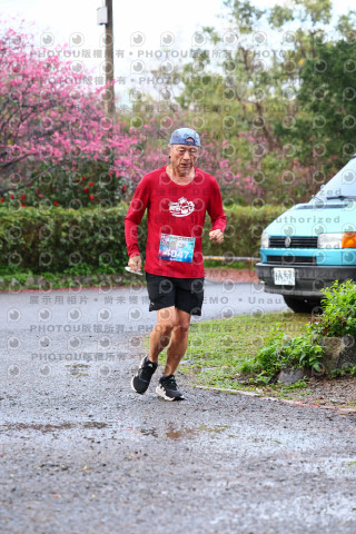 2026左岸竹東櫻花馬拉松Zhudong Sakura Marathon