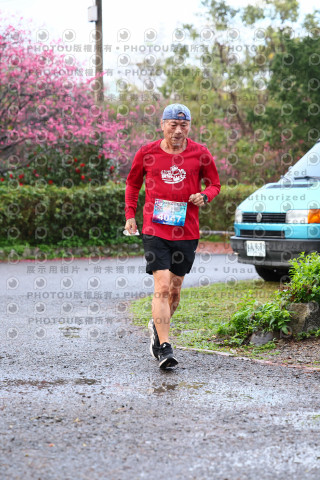2026左岸竹東櫻花馬拉松Zhudong Sakura Marathon