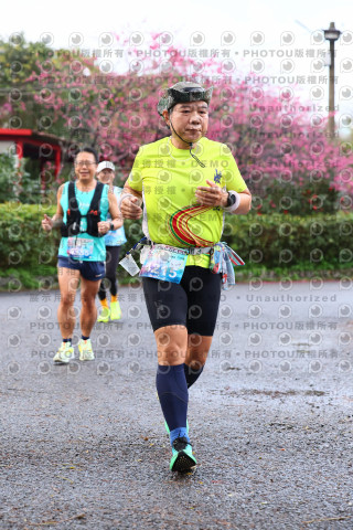 2026左岸竹東櫻花馬拉松Zhudong Sakura Marathon