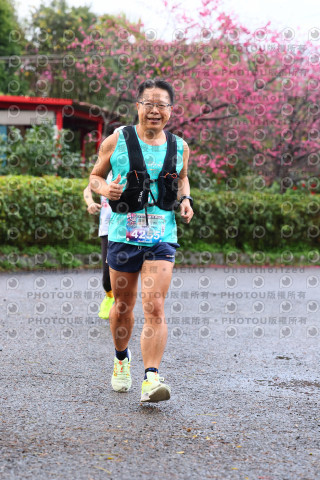 2026左岸竹東櫻花馬拉松Zhudong Sakura Marathon