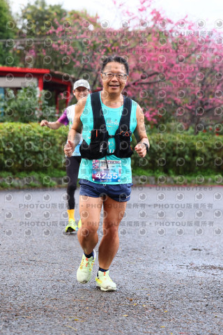 2026左岸竹東櫻花馬拉松Zhudong Sakura Marathon