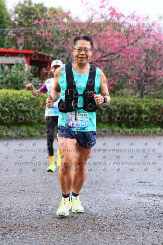 2026左岸竹東櫻花馬拉松Zhudong Sakura Marathon