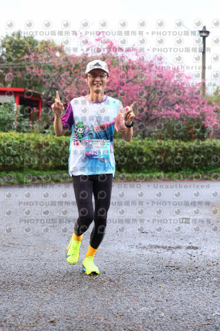 2026左岸竹東櫻花馬拉松Zhudong Sakura Marathon
