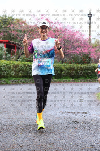 2026左岸竹東櫻花馬拉松Zhudong Sakura Marathon