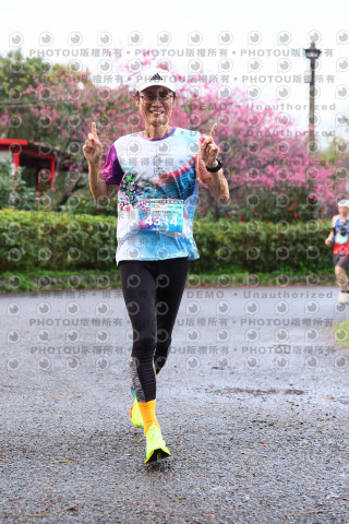 2026左岸竹東櫻花馬拉松Zhudong Sakura Marathon