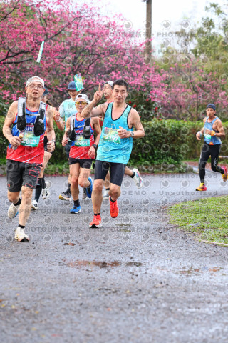2026左岸竹東櫻花馬拉松Zhudong Sakura Marathon