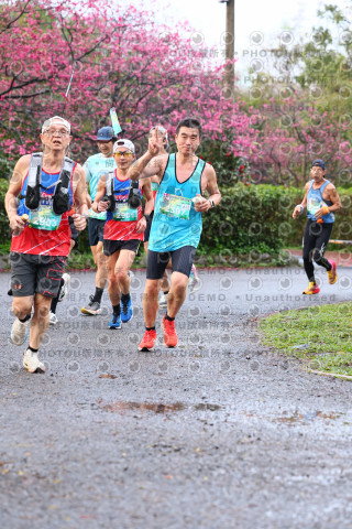 2026左岸竹東櫻花馬拉松Zhudong Sakura Marathon