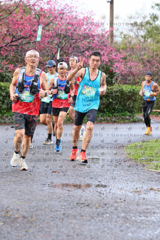 2026左岸竹東櫻花馬拉松Zhudong Sakura Marathon