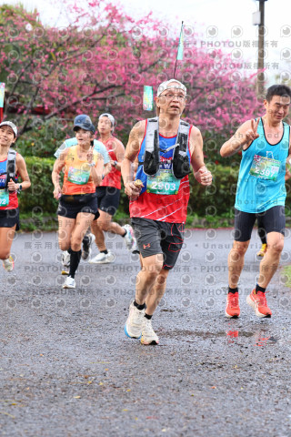 2026左岸竹東櫻花馬拉松Zhudong Sakura Marathon