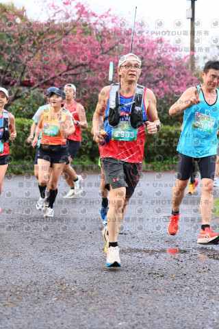 2026左岸竹東櫻花馬拉松Zhudong Sakura Marathon