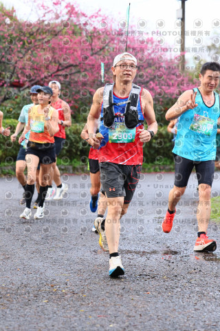 2026左岸竹東櫻花馬拉松Zhudong Sakura Marathon