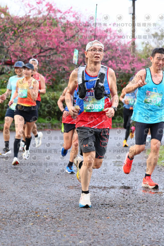 2026左岸竹東櫻花馬拉松Zhudong Sakura Marathon