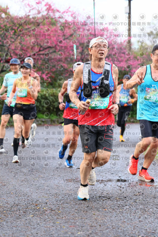 2026左岸竹東櫻花馬拉松Zhudong Sakura Marathon