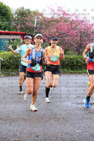 2026左岸竹東櫻花馬拉松Zhudong Sakura Marathon