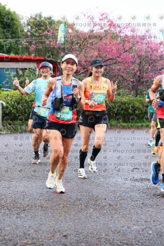 2026左岸竹東櫻花馬拉松Zhudong Sakura Marathon
