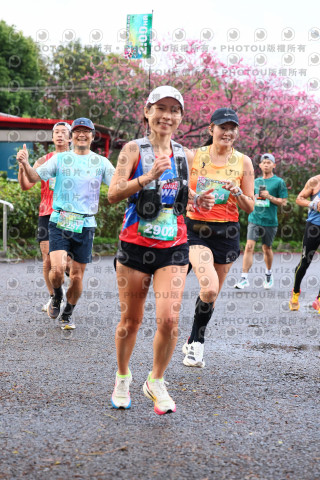 2026左岸竹東櫻花馬拉松Zhudong Sakura Marathon