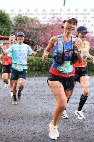 2026左岸竹東櫻花馬拉松Zhudong Sakura Marathon